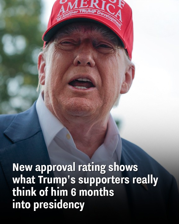 New approval rating shows what Trump’s supporters really think of him 6 months into presidency