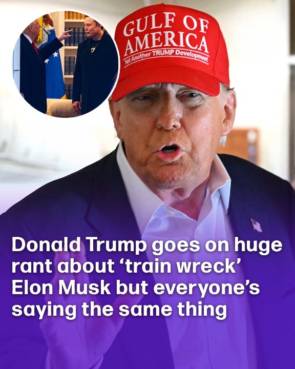 Donald Trump goes on huge rant about ‘train wreck’ Elon Musk but everyone’s saying the same thing