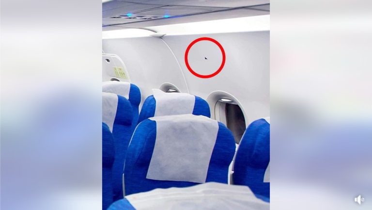 Here’s what the the triangle stickers above your airplane seat mean