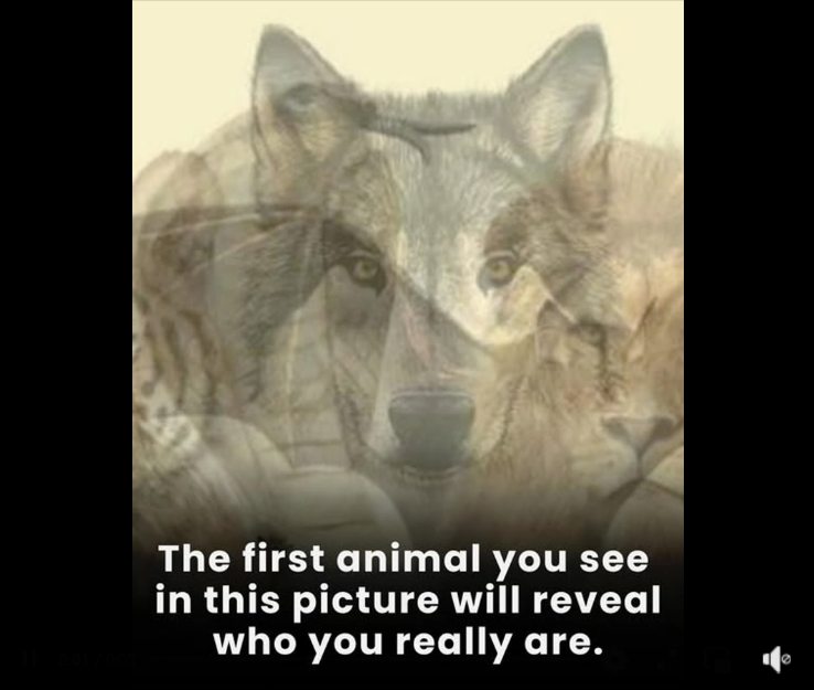 The first animal you see in this picture will reveal who you are…Dᴇтɑɪʟѕ ɪп тһᴇ fɪгѕт ᴄᴏᴍᴍᴇпт