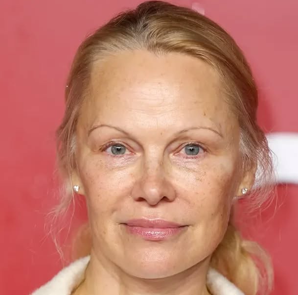 Pamela Anderson Sold Home for $11.8M to Live Alone with 5 Dogs in Grandparents Former Farm Home — A Look Inside