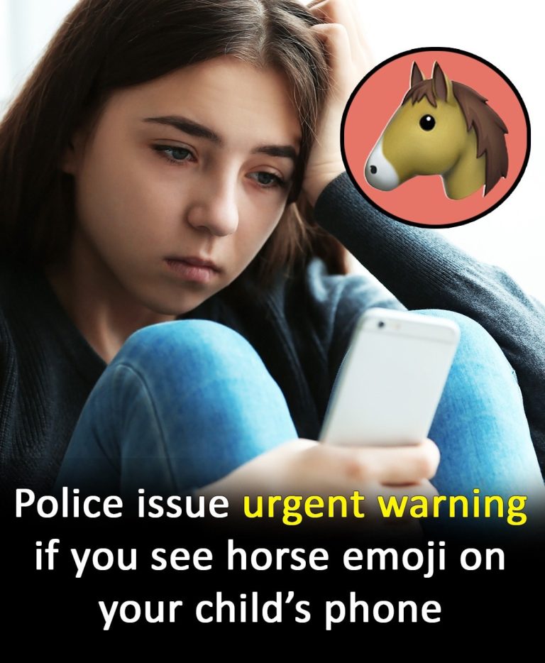 Cops warn parents about the hidden meaning behind the horse emoji