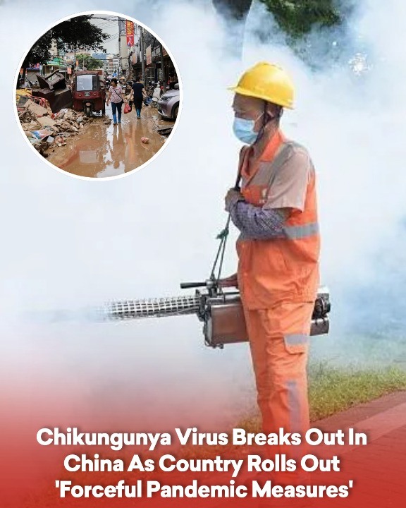 Chikungunya Virus Breaks Out In China As Country Rolls Out ‘Forceful Pandemic Measures’