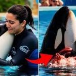 Jessica’s Final Farewell