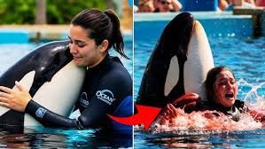 Orca Trainer Jessica Radcliffe is att@cked by a whale | Shocking Accident Caught on Camera!