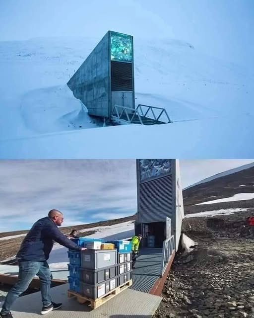 Svalbard Seed Vault, Humanitys Backup in Case of Catastrophe