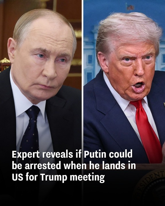 Expert reveals if Putin could be arrested when he lands in US for Trump meeting