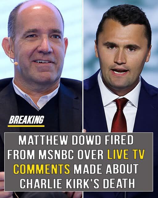 Television Analyst Abruptly Fired After