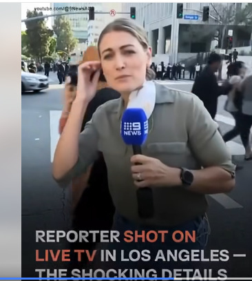 Los Angeles Immigration Protests