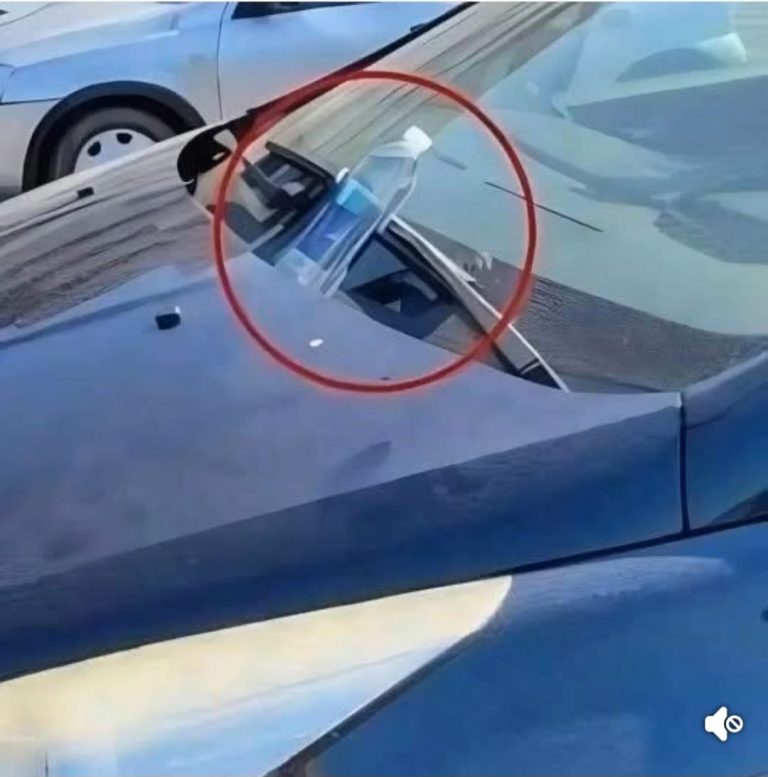 Plastic Bottle on Your Car? Here’s the Hidden Danger