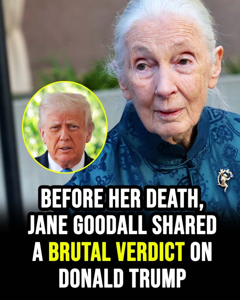 Before her death, Jane Goodall shared her true feelings about Donald Trump