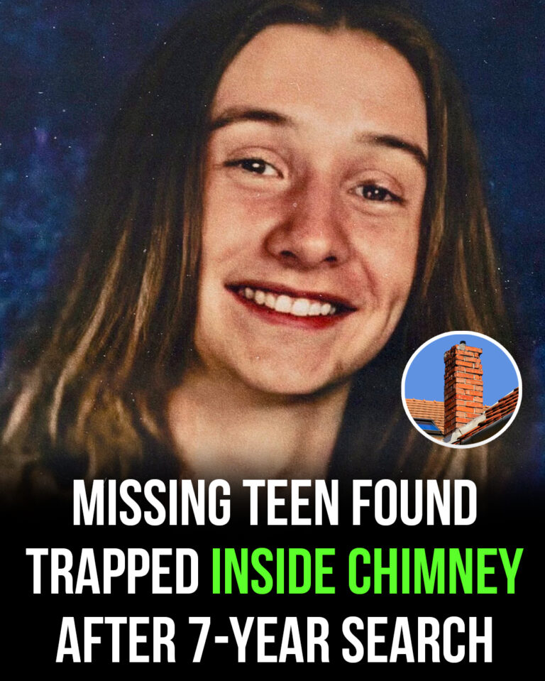 Missing teen found trapped inside chimney after 7-year search
