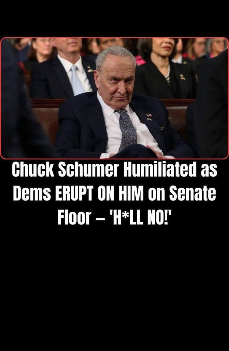 Democratic Rift Deepens as Schumer Faces Internal Backlash Over Shutdown Strategy