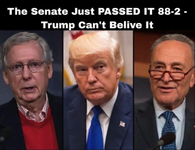 Senate Approves Bill 88-2 — Even Trump Was Surprised!