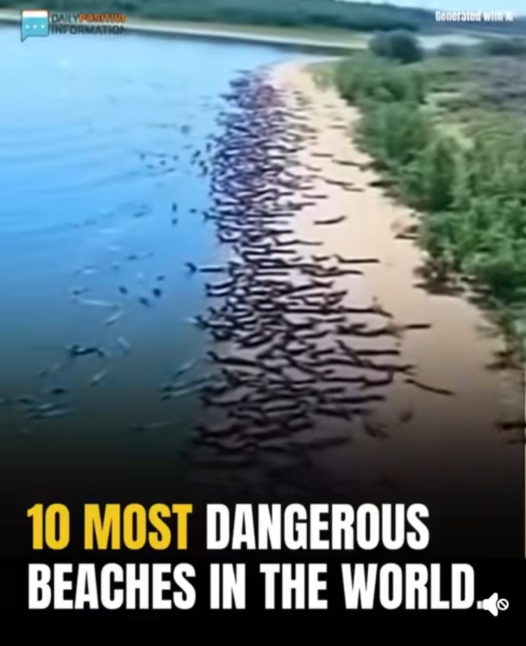 10 Of The Most Dangerous Beaches In The World