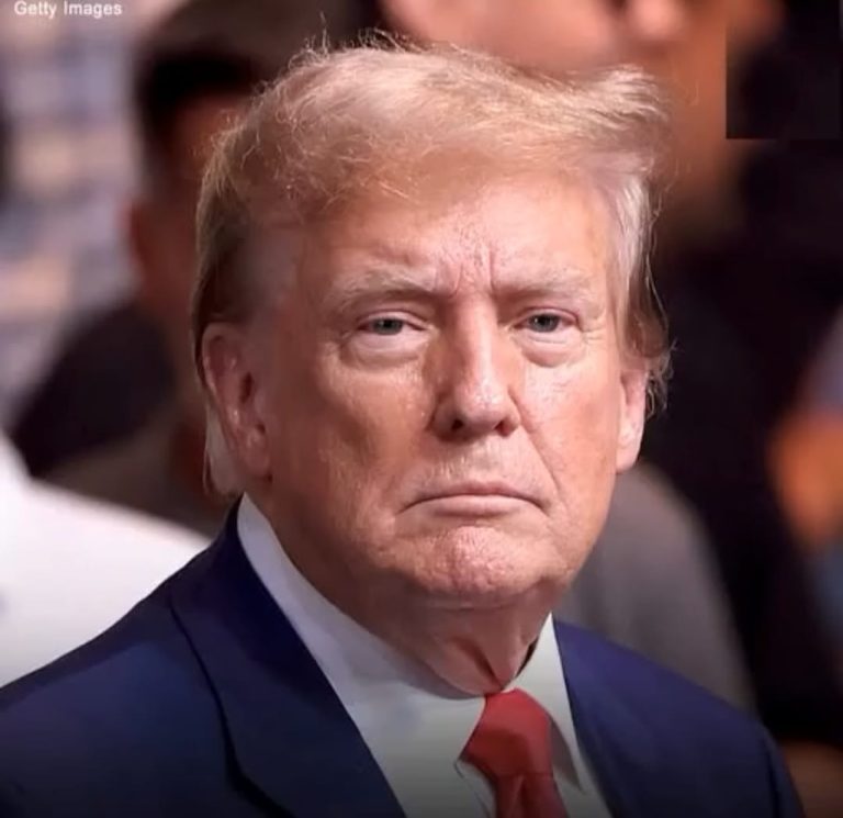 Users React to Melania Trump’s New Official Portrait