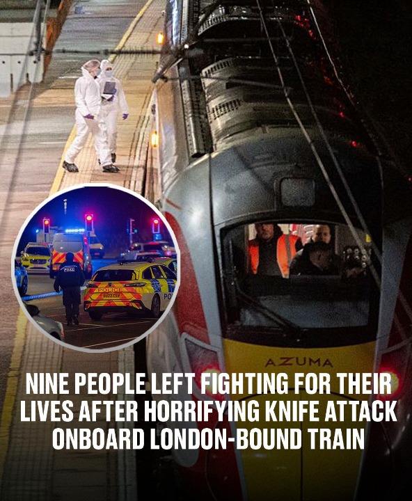Nine people left fighting for their lives after horrifying knife attack onboard London-bound train