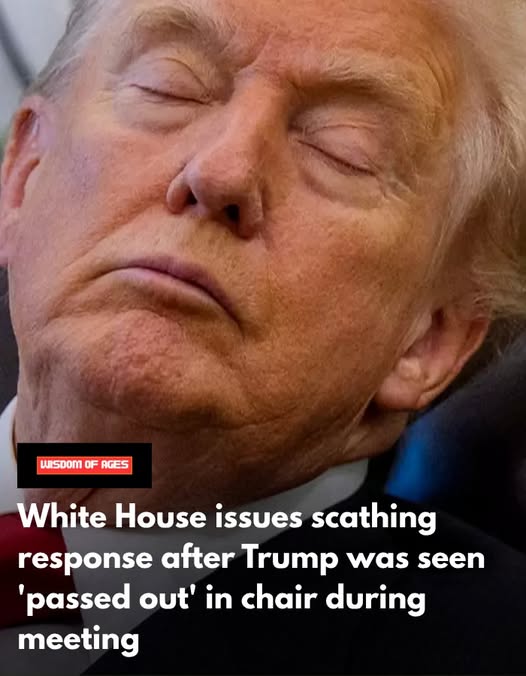 White House issues scathing response after Trump was seen ‘passed out’ in chair during meeting