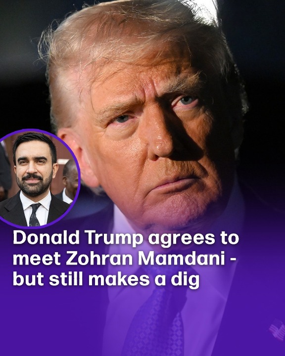 Donald Trump agrees to meet Zohran Mamdani – but still makes a dig