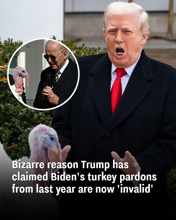 Bizarre reason Trump has claimed Biden’s turkey pardons from last year are now ‘invalid’