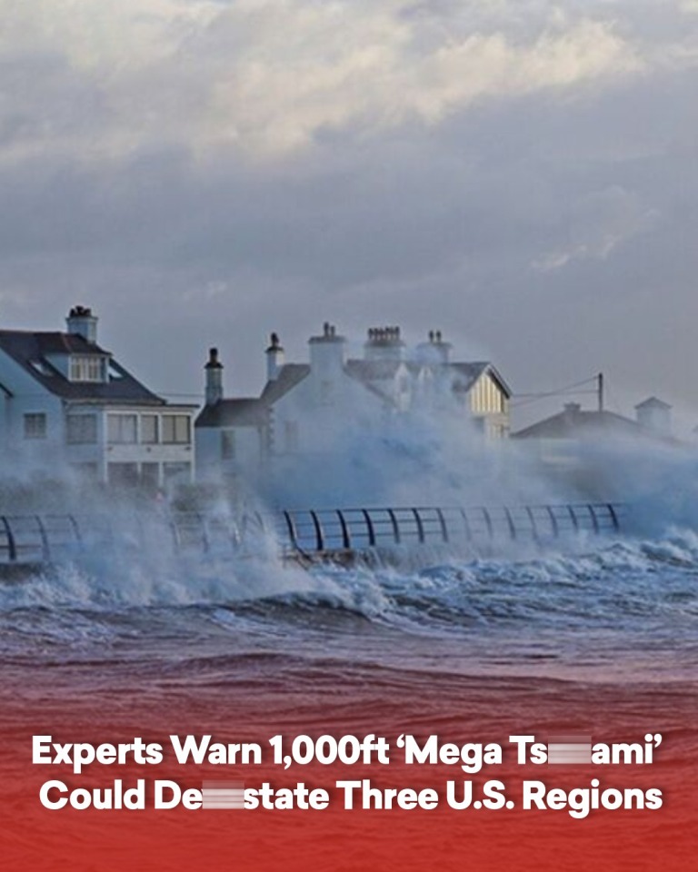 Experts Warn 1,000ft ‘Mega Tsu.ami’ Could Dev.state Three U.S. Regions
