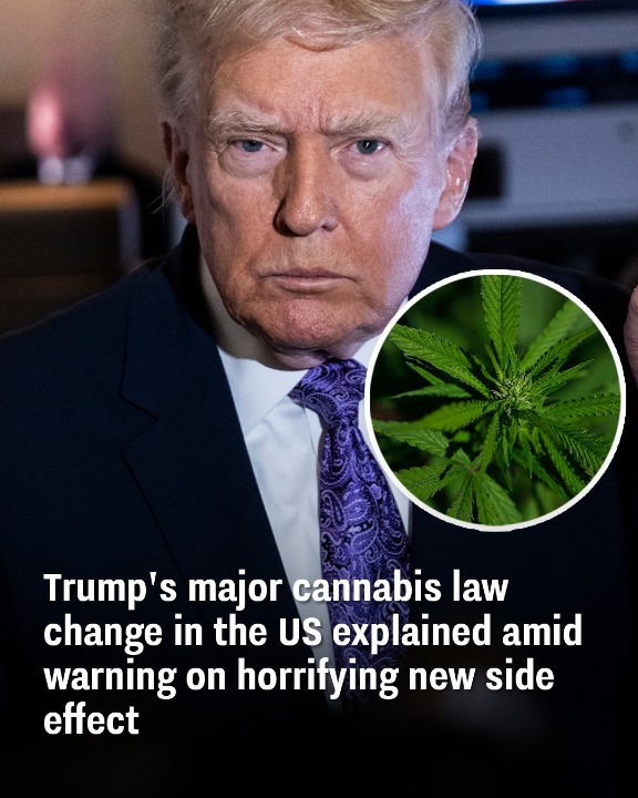 Trump’s major cannabis law change in the US explained amid warning on horrifying new side effect
