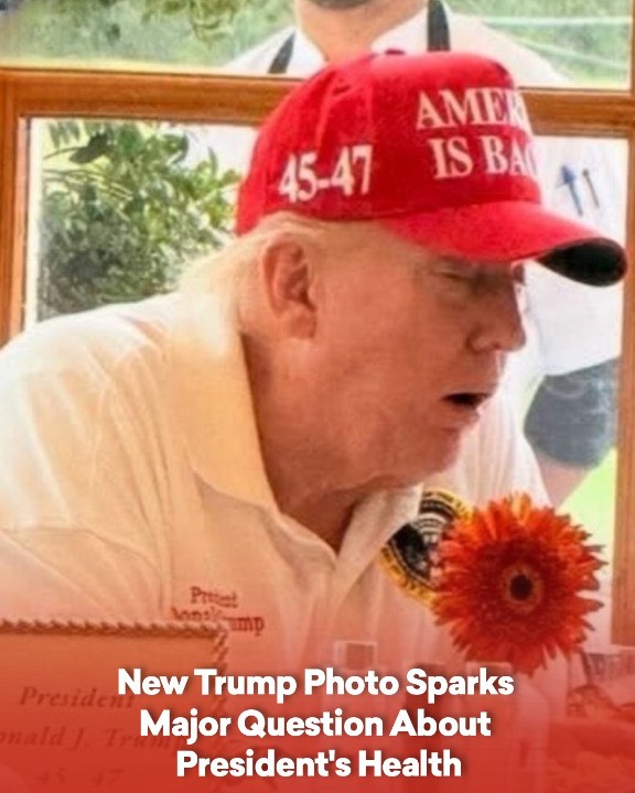 New Trump Photo Sparks Major Question About President’s Health