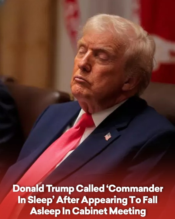 Donald Trump Called ‘Commander In Sleep’ After Appearing To Fall Asleep In Cabinet Meeting