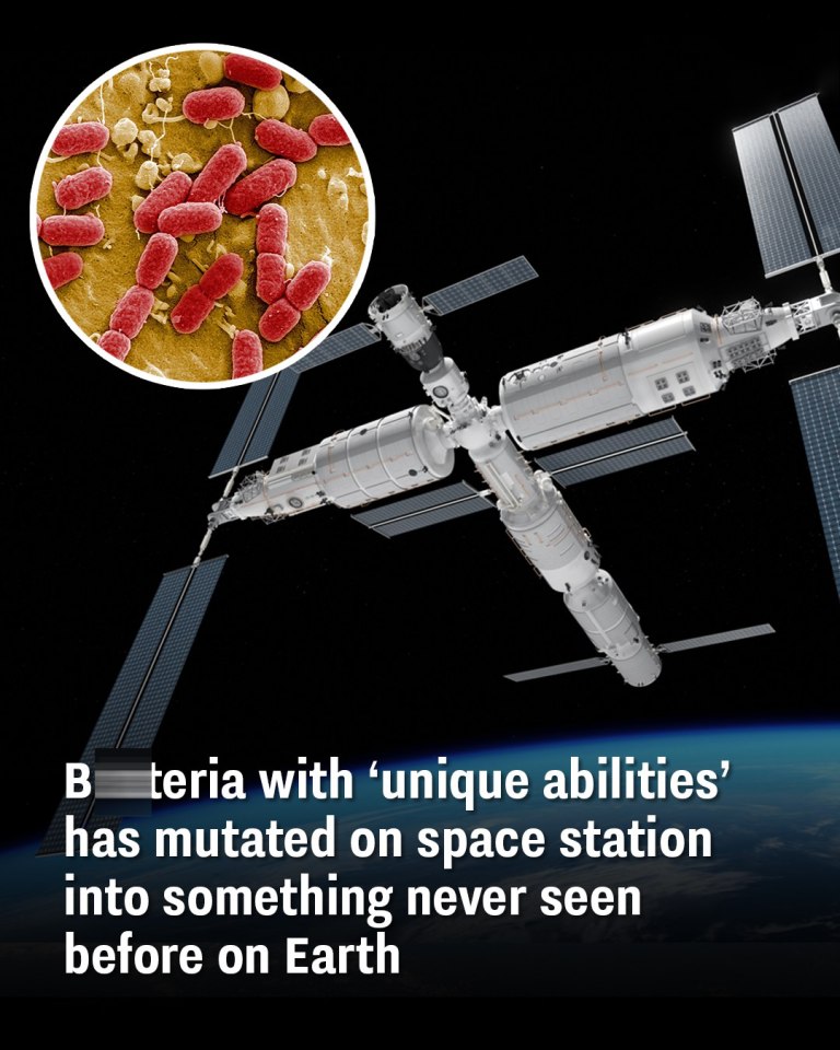 Ba.teria with ‘unique abilities’ has mutated on space station into something never seen before on Earth