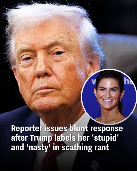 Reporter issues blunt response after Trump labels her ‘stupid’ and ‘nasty’ in scathing rant