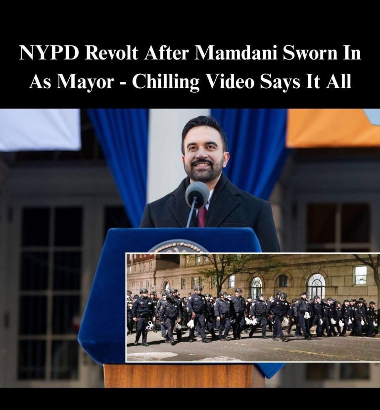 Midnight Box Beside Power