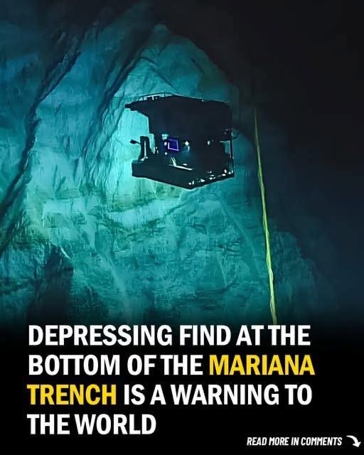 Depressing find at the bottom of the Mariana Trench is a warning to the world