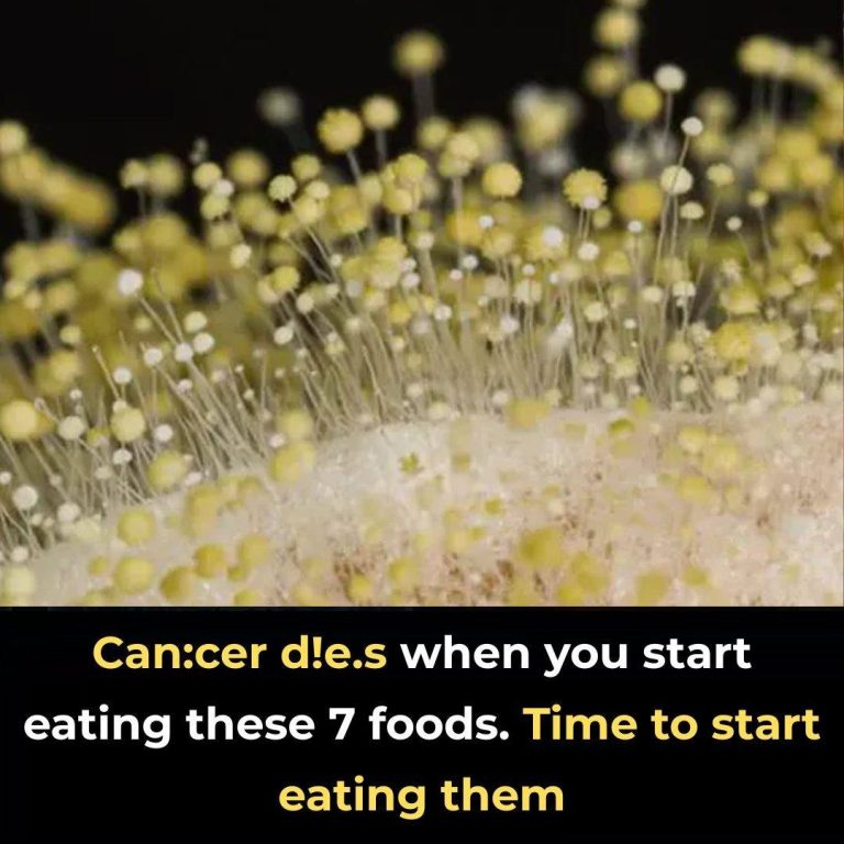 8 powerful anti-cancer foods you should start including in your diet