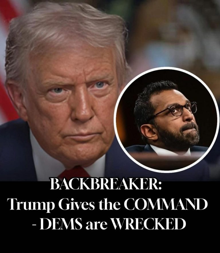 BACKBREAKER: Trump Gives the COMMAND