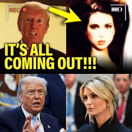 It wasn’t a quiet document review —